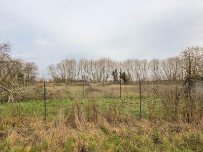 Acheter Terrain 2139 m2 Paizay-le-chapt
