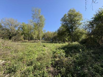 Annonce Vente Terrain Menoux 36