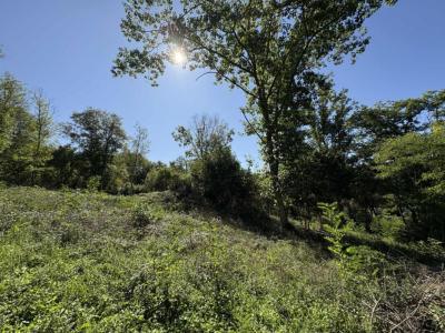 Acheter Terrain 2323 m2 Menoux