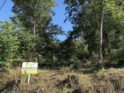 Acheter Terrain Menoux Indre