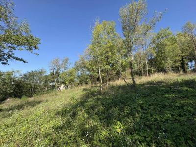 Acheter Terrain Menoux 19500 euros