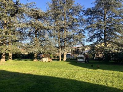 Annonce Vente Terrain Marcy-l'etoile 69