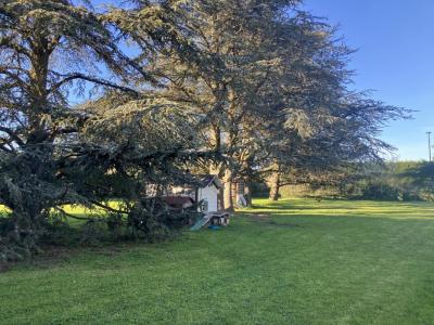 Acheter Terrain 1507 m2 Marcy-l'etoile