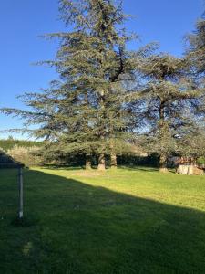 Acheter Terrain Marcy-l'etoile Rhone