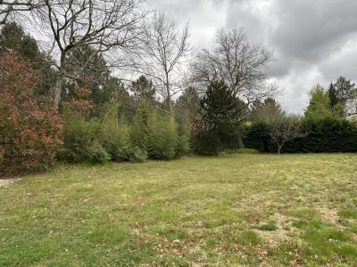 Annonce Vente Terrain Teste-de-buch 33