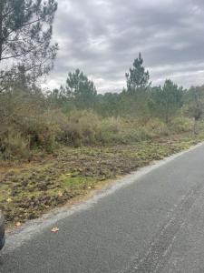 Acheter Maison Sanguinet Landes