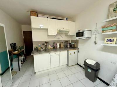 Acheter Appartement Pointe-a-pitre Guadeloupe