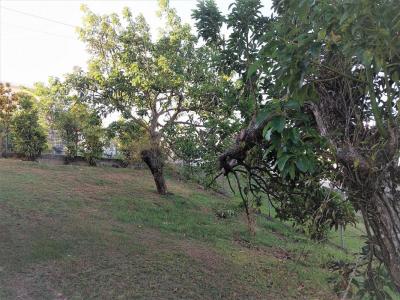 Acheter Maison 156 m2 Schoelcher