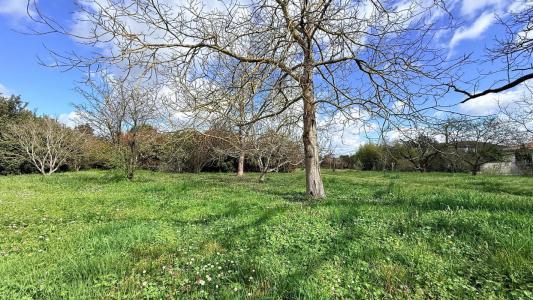 Acheter Terrain 1000 m2 Villaudric