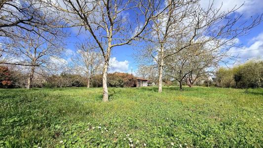 Acheter Terrain Villaudric Haute garonne