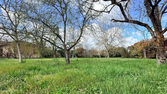 Acheter Terrain Villaudric 114000 euros