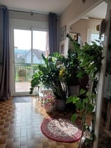 Acheter Maison 230 m2 Voiteur