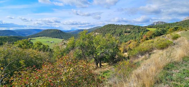 For sale Bargeme 6 rooms 230 m2 Var (83840) photo 1