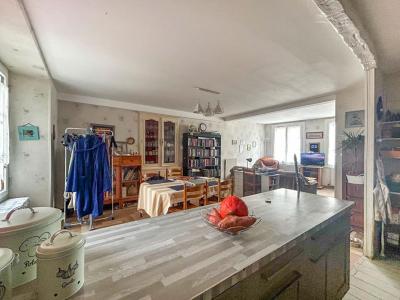 Annonce Vente 6 pi�ces Maison Selles-sur-cher 41