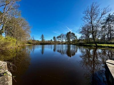 For sale Langon Loir et cher (41320) photo 0
