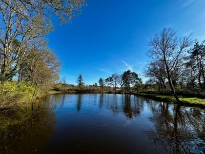 Annonce Vente Terrain Langon 41