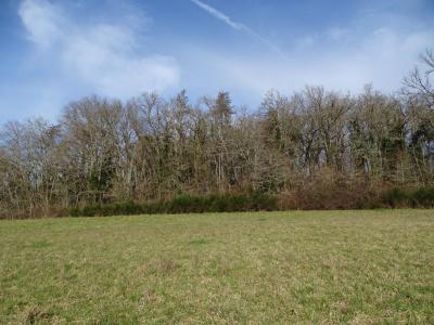 Acheter Terrain 19000 m2 Thonac