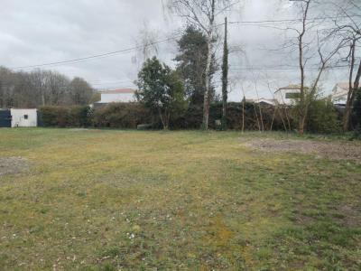 Annonce Vente Terrain Basse-goulaine 44