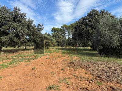 Acheter Maison Saint-siffret 198000 euros