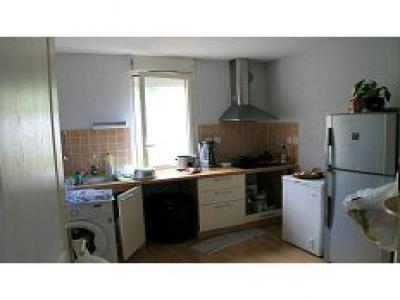 For rent Possession 2 rooms 46 m2 Reunion (97419) photo 2