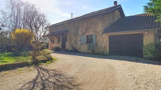 Acheter Maison 160 m2 Mogneneins