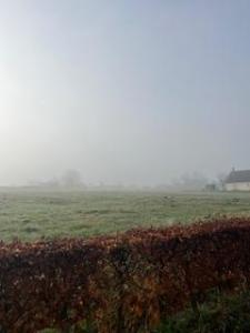 For sale Allouville-bellefosse 95 m2 Seine maritime (76190) photo 1