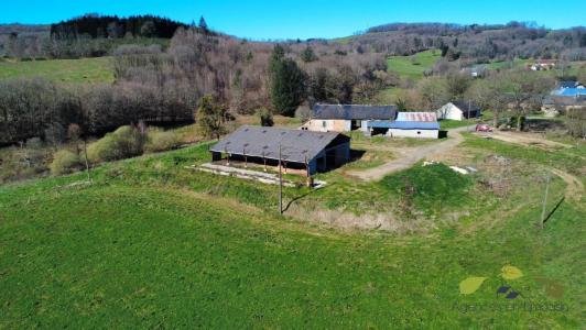 Annonce Vente Prestige Chamberet 19