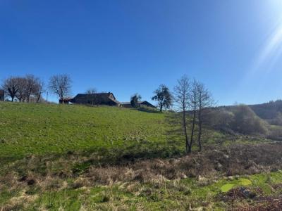 Acheter Prestige Chamberet