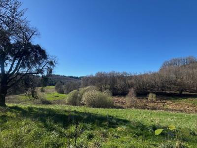 Acheter Prestige Chamberet Correze