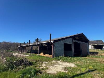 Acheter Prestige Chamberet 167400 euros