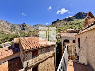 For sale Feliceto 4 rooms 88 m2 Corse (20225) photo 0