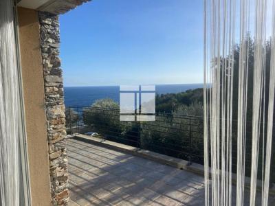 Annonce Vente 8 pi�ces Maison Sisco 20