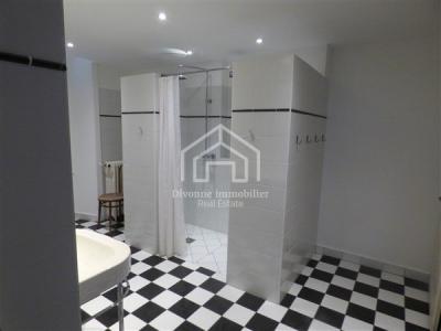 Louer Maison Gex Ain