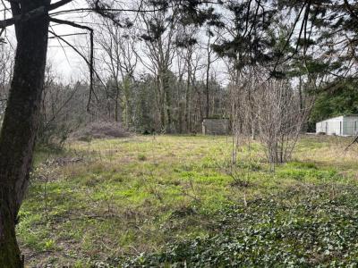 For sale Avensan 746 m2 Gironde (33480) photo 0