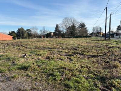 Annonce Vente Terrain Listrac-medoc 33