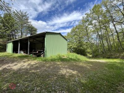 For sale Belveze-du-razes 8 rooms 347 m2 Aude (11240) photo 4