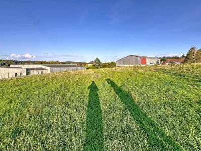 Acheter Terrain Montmort-lucy Marne