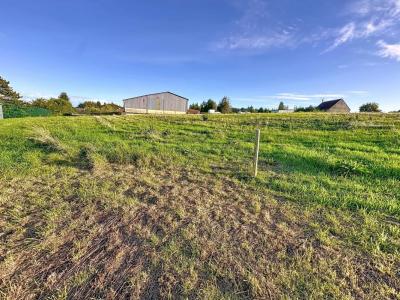 Acheter Terrain Montmort-lucy 163000 euros