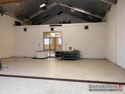 For sale Ville 950 m2 Bas rhin (67220) photo 1