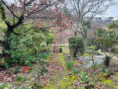 Annonce Vente 6 pi�ces Maison Lamalou-les-bains 34