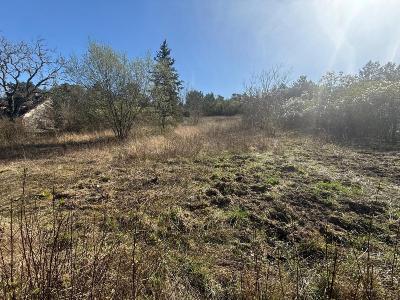 For sale 1990 m2 Yonne (89140) photo 0