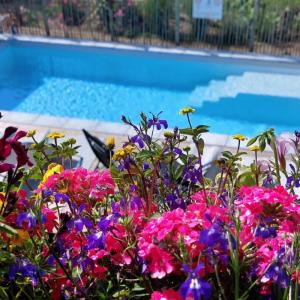 Acheter Prestige 213 m2 Josselin