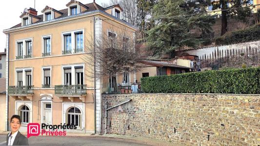 Annonce Vente Immeuble Bourg-de-thizy 69