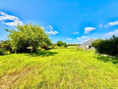 Annonce Vente Terrain Champigne 49