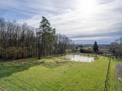 Acheter Terrain 4322 m2 Thenioux