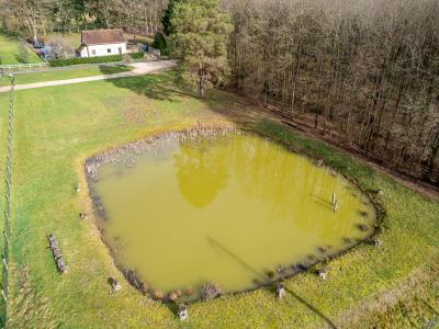 Acheter Terrain Thenioux 40000 euros