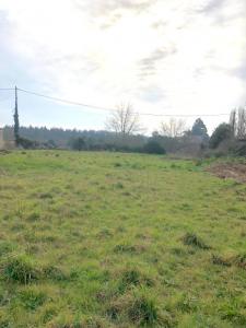 Acheter Terrain 662 m2 Migne-auxances