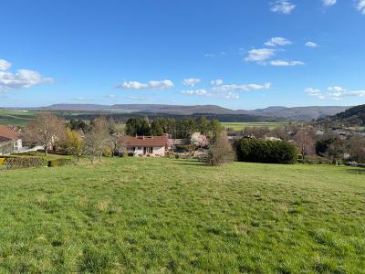 Annonce Vente Terrain Malain 21