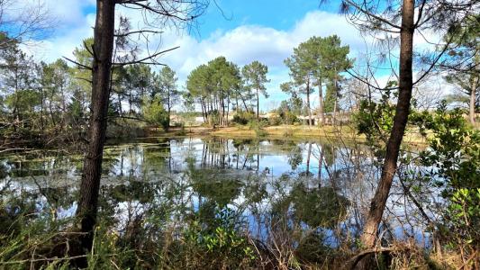 Annonce Vente 4 pi�ces Maison Pian-medoc 33