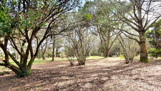 Acheter Maison 115 m2 Pian-medoc